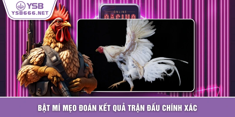 Bật mí mẹo đoán kết quả trận đấu chính xác