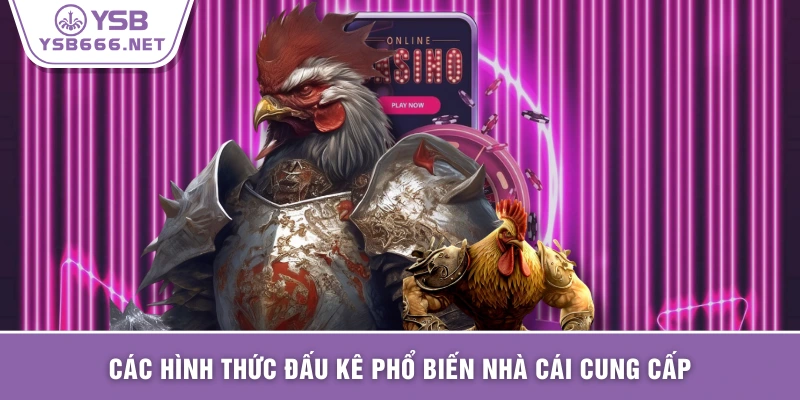 Các hình thức đấu kê phổ biến nhà cái cung cấp