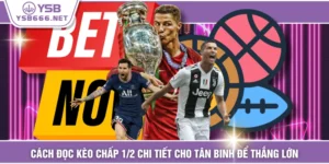 Cách Đọc Kèo Chấp 1/2 Chi Tiết Cho Tân Binh Để Thắng Lớn