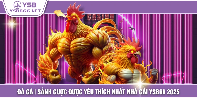 Đá Gà | Sảnh Cược Được Yêu Thích Nhất Nhà Cái YSB66 2025