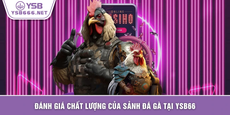 Đánh giá chất lượng của sảnh đá gà tại YSB66