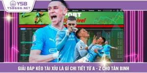 Giải Đáp Kèo Tài Xỉu Là Gì Chi Tiết Từ A - Z Cho Tân Binh