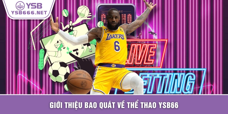 Giới thiệu bao quát về thể thao YSB66