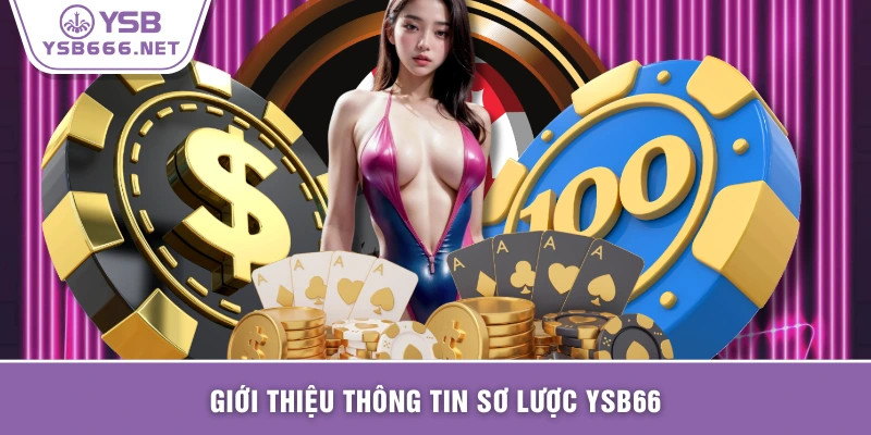 Giới thiệu thông tin sơ lược YSB66