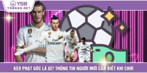 Kèo Phạt Góc Là Gì? Thông Tin Người Mới Cần Biết Khi Chơi