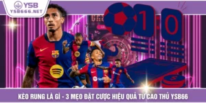 Kèo Rung Là Gì - 3 Mẹo Đặt Cược Hiệu Quả Từ Cao Thủ YSB66