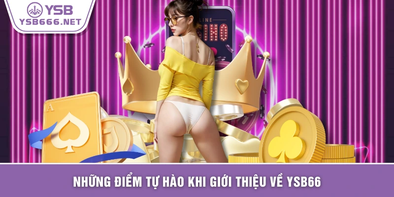 Những điểm tự hào khi giới thiệu về YSB66