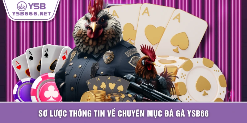 Sơ lược thông tin về chuyên mục đá gà YSB66