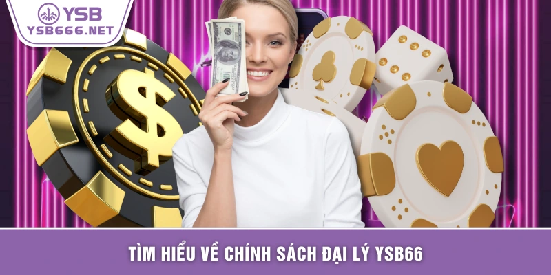 Tìm hiểu về chính sách đại lý YSB66