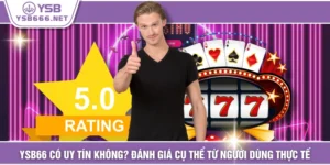 YSB66 Có Uy Tín Không? Đánh Giá Cụ Thể Từ Người Dùng Thực Tế